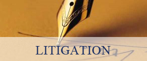 Litigation Litigation